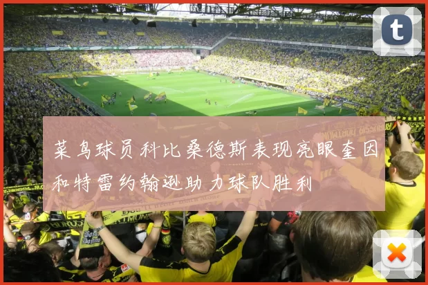 菜鸟球员科比桑德斯表现亮眼奎因和特雷约翰逊助力球队胜利