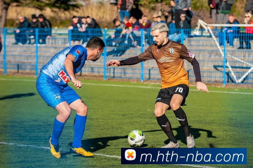 华体会平台生态图